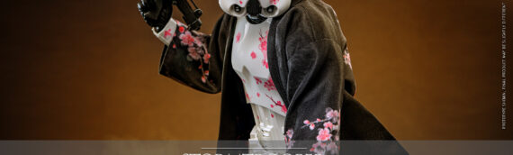 Hot Toys :  La figurine Stormtrooper (Cherry Blossom Version) en exclu pour Star wars Celebration