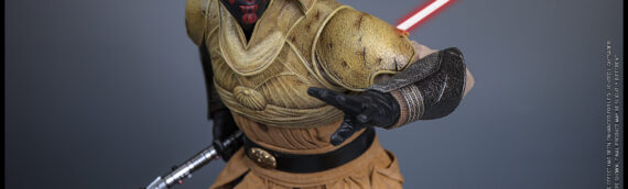 HOT TOYS – Darth Maul™ (Concept Art) Celebration Exclusive