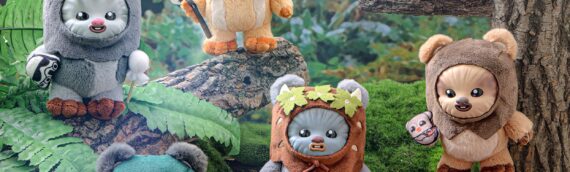 HOT TOYS – Star Wars Ewok Cosbaby Peluche