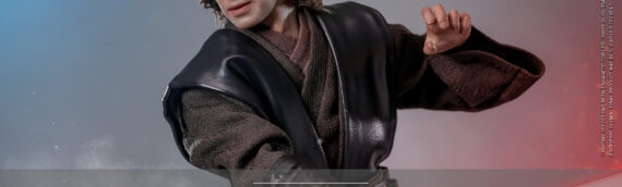 Hot Toys – Darth Vader (Mustafar) Sixth Scale Figures Artisan Edition [Sideshow Exclusive]