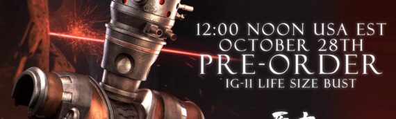 The Force Laboratory : IG-11 Life Size Buste