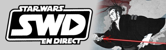 Star Wars en Direct – Littérature – Critique du roman Star Wars Visions : Ronin