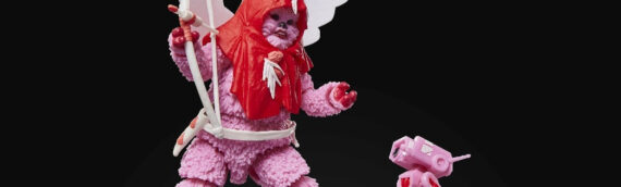 HASBRO – Star Wars The black Series Ewok (Édition Saint-Valentin)