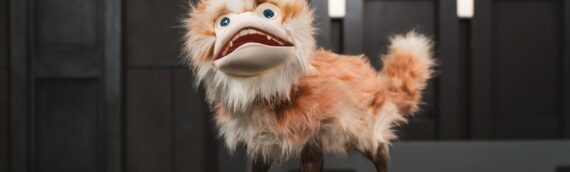 DISNEY GALAXY EDGE- Adoptez votre propre Loth-cat