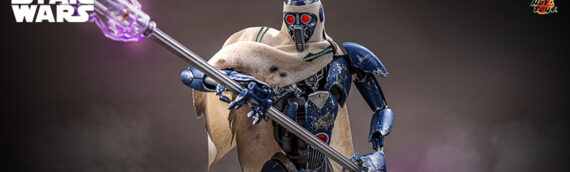 HOT TOYS – MagnaGuard (ROTS) Sixth Scale Figures
