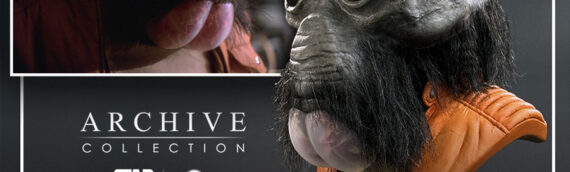 REGAL ROBOT – Walrus Man Life-Sized Bust