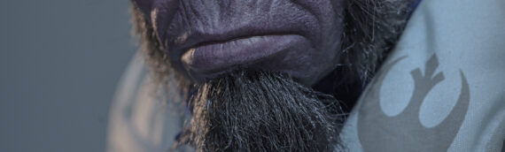 HOT TOYS – Zeb Orrelios Sixth Scale Figures