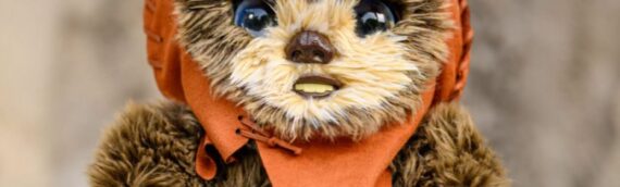 Un Ewok interactif arrive à Star Wars: Galaxy’s Edge