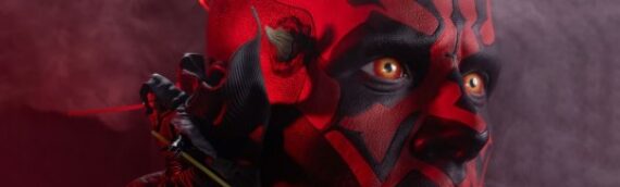 Premium Collectibles Studio – Darth Maul Fine Art Bust